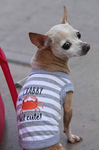 Parisian Pet Crab Tee Dog Clothes Tee T-Shirt, S in Saudi Arabia