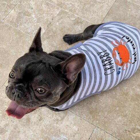 Parisian Pet Crab Tee Dog Clothes Tee T-Shirt, S in Saudi Arabia