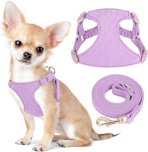 مجموعة حزام ومقود الكلاب الصغيرة من ديدوج، حزام ناعم ولطيف للكلاب الصغيرة، حزام كلب قابل للتعديل مقاس XXS لتدريب الجراء على المشي، أرجواني، مقاس XXS in Kuwait