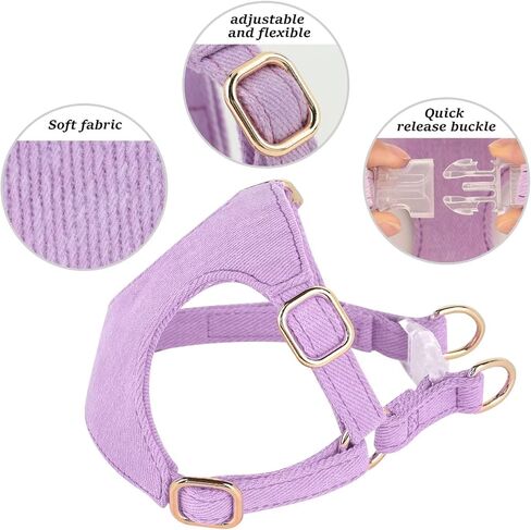 مجموعة حزام ومقود الكلاب الصغيرة من ديدوج، حزام ناعم ولطيف للكلاب الصغيرة، حزام كلب قابل للتعديل مقاس XXS لتدريب الجراء على المشي، أرجواني، مقاس XXS in Kuwait
