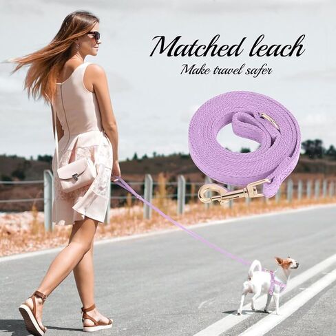 مجموعة حزام ومقود الكلاب الصغيرة من ديدوج، حزام ناعم ولطيف للكلاب الصغيرة، حزام كلب قابل للتعديل مقاس XXS لتدريب الجراء على المشي، أرجواني، مقاس XXS in Kuwait