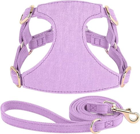 مجموعة حزام ومقود الكلاب الصغيرة من ديدوج، حزام ناعم ولطيف للكلاب الصغيرة، حزام كلب قابل للتعديل مقاس XXS لتدريب الجراء على المشي، أرجواني، مقاس XXS in Kuwait