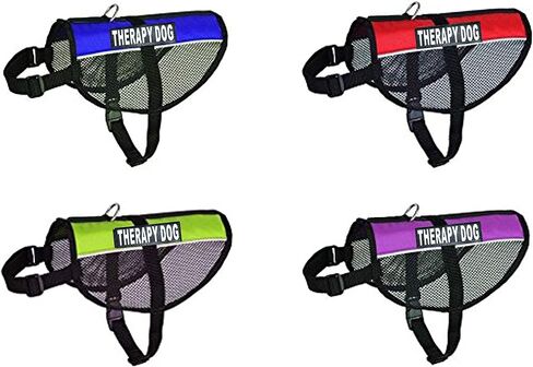 Therapy Dog mesh Vest Harness Cool Comfort Nylon for Dogs Small Medium Purchase Comes with 2 Reflective Therapy Dog Removable Patches. Please Measure Your Dog Before Ordering (Girth 21-24", Blue) in Saudi Arabia