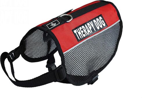 Therapy Dog mesh Vest Harness Cool Comfort Nylon for Dogs Small Medium Purchase Comes with 2 Reflective Therapy Dog Removable Patches. Please Measure Your Dog Before Ordering (Girth 21-24", Blue) in Saudi Arabia
