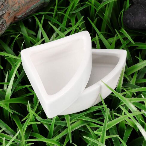 أطباق مياه طعام الزواحف من ibasenice، أطباق سيراميك طعام الحيوانات الصغيرة، طبق دودة طبق سيراميك، وعاء طعام ليوبارد جيكو (مثلث متوسط، قطعتان) in Kuwait