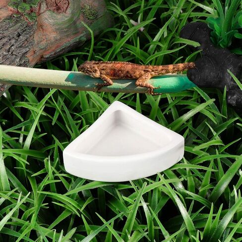 أطباق مياه طعام الزواحف من ibasenice، أطباق سيراميك طعام الحيوانات الصغيرة، طبق دودة طبق سيراميك، وعاء طعام ليوبارد جيكو (مثلث متوسط، قطعتان) in Kuwait