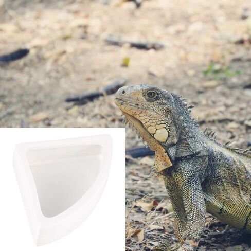 أطباق مياه طعام الزواحف من ibasenice، أطباق سيراميك طعام الحيوانات الصغيرة، طبق دودة طبق سيراميك، وعاء طعام ليوبارد جيكو (مثلث متوسط، قطعتان) in Kuwait