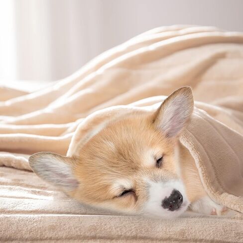 بطانية أطفال من القطيفة من بيرتي، بطانيات استقبال فائقة النعومة ودافئة وخفيفة الوزن ومسامية للجنسين لعربة الأطفال الرضع، مقاس 33 بوصة × 43 بوصة، بيج فاتح in Kuwait