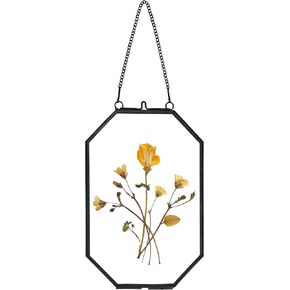 Pressed Flower Frames, Glass Floating Frames for Display Dried Plant Specimen Picture, Hanging Brass Photo Frame with Chain, Double Clear Glass, Vintage Wall Decor, Octagon, Black, 4x6 Inches in Kuwait