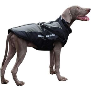 سترة للكلاب مع حزام وطوق من الفرو - معطف شتوي للكلاب، سترة دافئة للغاية مضادة للماء ومضادة للرياح للتنزه سيرًا على الأقدام والتخييم مع معاطف عاكسة للطقس البارد للكلاب الكبيرة إلى المتوسطة in Kuwait