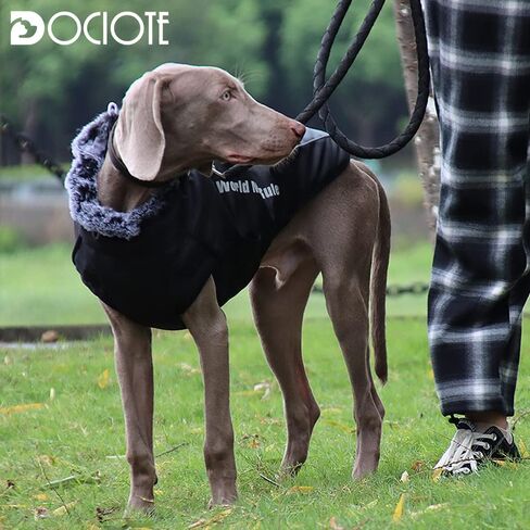 سترة للكلاب مع حزام وطوق من الفرو - معطف شتوي للكلاب، سترة دافئة للغاية مضادة للماء ومضادة للرياح للتنزه سيرًا على الأقدام والتخييم مع معاطف عاكسة للطقس البارد للكلاب الكبيرة إلى المتوسطة in Kuwait