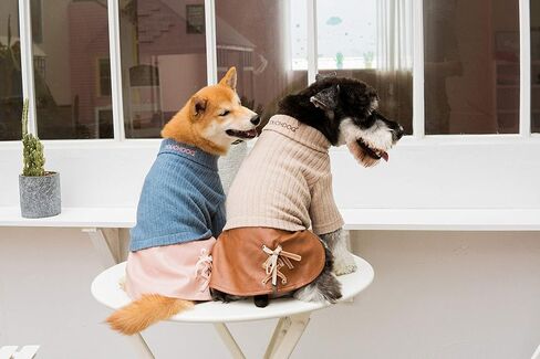 سترة وفستان مصمم أزياء الكلاب من Touchdog ® "Modress". in Kuwait