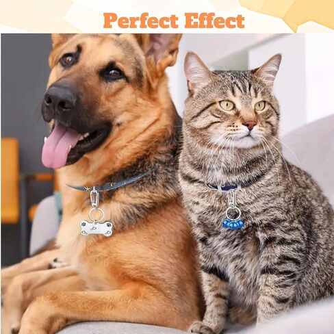 مشبك علامة الكلب 6 قطع من مشابك حلقة المفاتيح مع 18 قطعة من حلقة الفولاذ المقاوم للصدأ، حامل بطاقة هوية الكلب المتين سهل التغيير مشبك علامة الحيوانات الأليفة مناسب لأطواق القطط والكلاب والأحزمة في حدود 1.3 × 0.6 بوصة in Kuwait