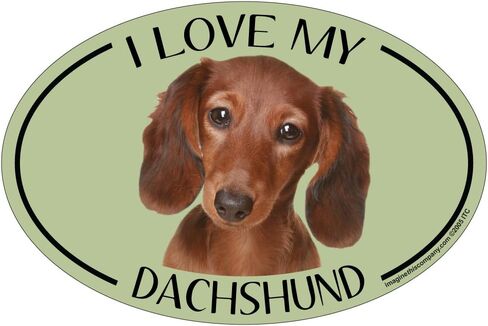 Imagine This Oval Magnet, I Love My Dachshund Small in Saudi Arabia