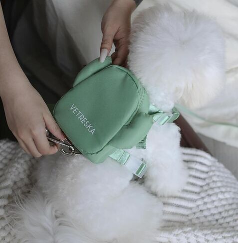 VETRESKA Dog Harness with Leash Set, No Pull Adjustable and Breathable Pet Vest Harness with Cactus Bags for Small Medium Large Dogs and Cats- S in Kuwait