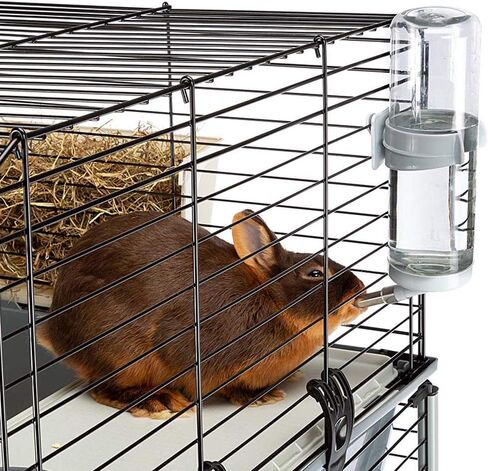 فيربلاست قفص ارنب كبير للغاية من طابقين باللون العنابي من كروليك | يتضمن قفص الارانب جميع الملحقات والمقاسات 39 طول × 20.3 عرض × 36.2 ارتفاع ويشمل جميع الملحقات | ضمان لمدة عام من الشركة المصنعة in Kuwait