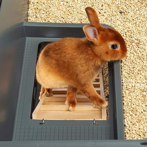 فيربلاست قفص ارنب كبير للغاية من طابقين باللون العنابي من كروليك | يتضمن قفص الارانب جميع الملحقات والمقاسات 39 طول × 20.3 عرض × 36.2 ارتفاع ويشمل جميع الملحقات | ضمان لمدة عام من الشركة المصنعة in Kuwait