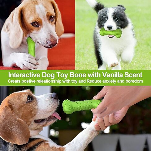 العاب مضغ الجراء، العاب مضغ متينة تصدر صرير للكلاب للتسنين، العاب تسنين قوية مع مطاط طبيعي لتنظيف اسنان الكلاب الصغيرة والمتوسطة (لون اخضر) in Kuwait