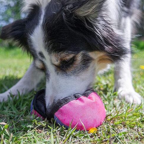 Tug-E-Nuff البطلينوس | لعبة موزع مكافآت الكلاب المدمجة مع آلية فتح ذكية | مثالية لتدريب الكلاب التفاعلي | مناسب للجيب وحجم 4.5 بوصة in Kuwait