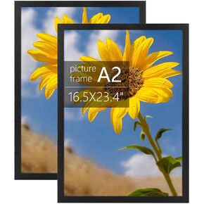 Golden State Art، إطار صورة A2 مع زجاج شبكي، إطار مقاس 16.5 × 23.4 بوصة - عرض أفقي ورأسي للجدار - مجموعة من قطعتين (أسود)