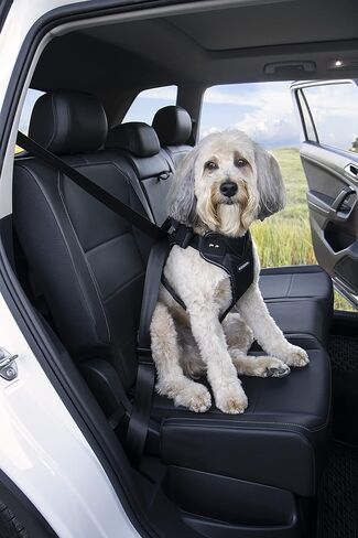 Sherpa Dog Harness, Built-in Quick Grab Handle, Padded - Black, Large in Kuwait