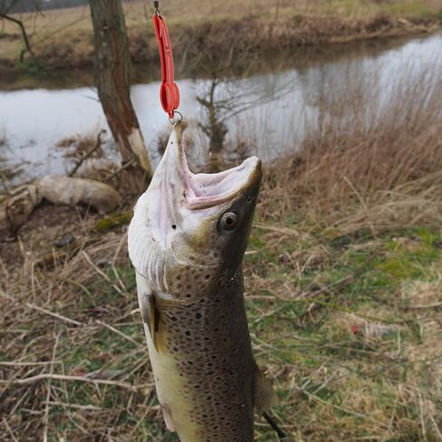 Proximitck 5 قطع من طعم الصيد ملاعق الصيد، طعم معدني صلب، طُعم صيد مضحك، طُعم صيد السمك، خطافات ثلاثية، ملعقة صيد دوارة للمياه المالحة، وسمك السلمون المرقط في المياه العذبة in Kuwait