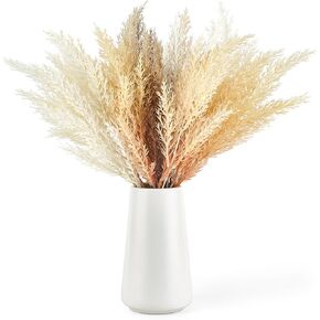 Mkono Faux Pompous Grass in Ceramic Vase 5 Stems Boho 15" Artificial Flowers Branches Decor Centerpieces Coffee Table Shelf Decor Fake Flower Arrangement for Kitchen Bedroom Living Room Home Office in Kuwait