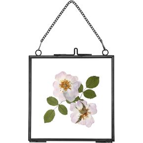 REDHUGO Glass Pressed Flower Frames,Vintage Hanging Picture Frames with Chain,Handmade Brass Floating Picture Frame,Plant Specimen Wall Ornament Display Artwork DIY Family Photo,Square,Gold,4x4 Inches in Kuwait
