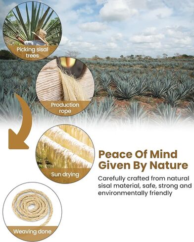 Sisal Rope for Cat Scratcher, Pettom Cat Scratching Post Replacement Natural Hemp Rope Sisal Replacement Rope for Cat Tree 1/4 inch Diameter 164FT in Kuwait