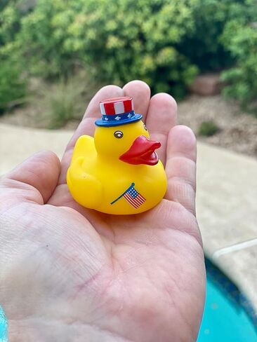 Bulk 20 Pack Patriotic Rubber Ducky Assortment - Perfect for Memorial Day, 4th of July, Labor Day or Veteran's Day in Saudi Arabia