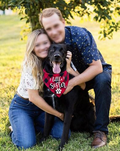 NTKIO Funny Red Plaid Cotton Little Sister Pet Dog Bandana, Pet Dog Gender Revealing Photo Prop Triangle Bibs Accessories Birthday Wedding Party for Dog Lovers Owner Gift, Medium in Kuwait