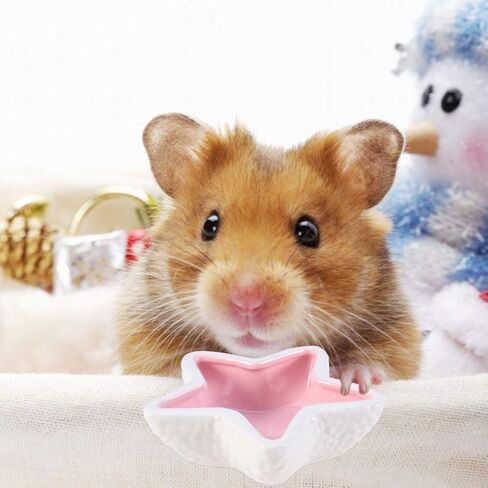 وعاء تغذية من السيراميك للحيوانات الأليفة من POPETPOP للحيوانات الأليفة الصغيرة (وردي) in Kuwait