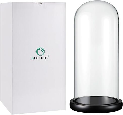 OLEKURT 13.5 بوصة ارتفاع × 6 بوصة عمق قبة زجاجية مع قاعدة خشبية، وعاء جرس زجاجي للورد المغمور بالذهب، مقتنيات عتيقة، تمثال صغير، كرات ثلجية DIY، نبات in Kuwait