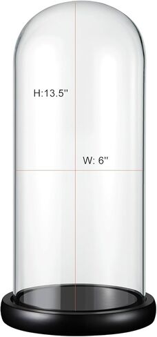 OLEKURT 13.5 بوصة ارتفاع × 6 بوصة عمق قبة زجاجية مع قاعدة خشبية، وعاء جرس زجاجي للورد المغمور بالذهب، مقتنيات عتيقة، تمثال صغير، كرات ثلجية DIY، نبات in Kuwait