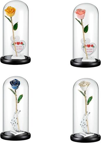 OLEKURT 13.5 بوصة ارتفاع × 6 بوصة عمق قبة زجاجية مع قاعدة خشبية، وعاء جرس زجاجي للورد المغمور بالذهب، مقتنيات عتيقة، تمثال صغير، كرات ثلجية DIY، نبات in Kuwait