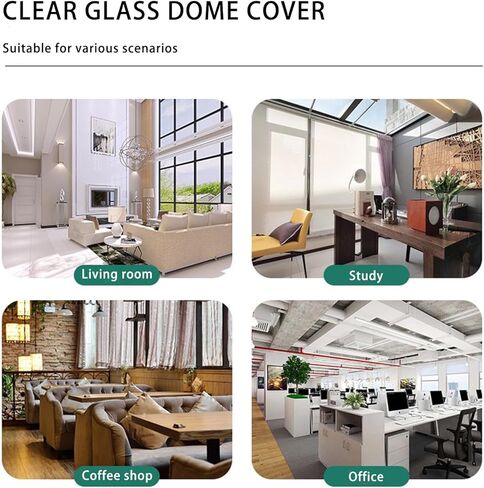 OLEKURT 13.5 بوصة ارتفاع × 6 بوصة عمق قبة زجاجية مع قاعدة خشبية، وعاء جرس زجاجي للورد المغمور بالذهب، مقتنيات عتيقة، تمثال صغير، كرات ثلجية DIY، نبات in Kuwait