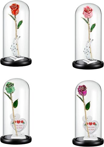 OLEKURT 13.5 بوصة ارتفاع × 6 بوصة عمق قبة زجاجية مع قاعدة خشبية، وعاء جرس زجاجي للورد المغمور بالذهب، مقتنيات عتيقة، تمثال صغير، كرات ثلجية DIY، نبات in Kuwait