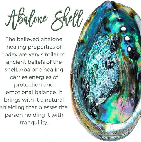 sedmart Tear Drop Abalone Shell Pendent Necklace Wire Wrap Abalone Shell Tree of Life Pendant Necklace Fashion Necklace Jewelry for Women handmade necklace mothers day necklace for mom jewelry in Kuwait