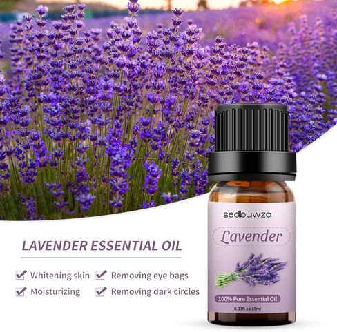 Sedbuwza Vanilla Essential Oil Set, 2 Pack Vanilla Aromatherapy Oils for Massage, Diffuser, Perfume, Soap, Candle Making 2 x 10 ml in Saudi Arabia