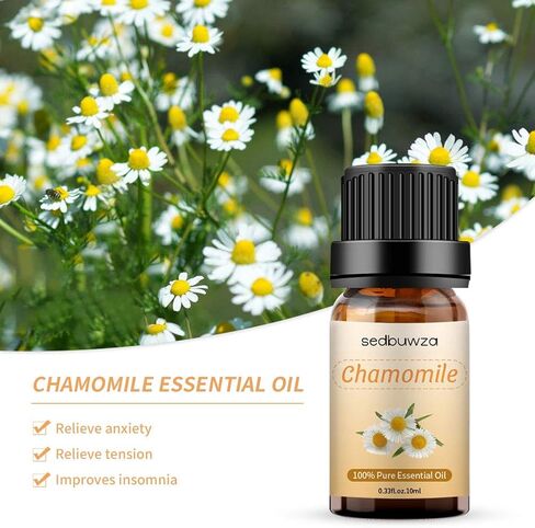 Sedbuwza Vanilla Essential Oil Set, 2 Pack Vanilla Aromatherapy Oils for Massage, Diffuser, Perfume, Soap, Candle Making 2 x 10 ml in Saudi Arabia