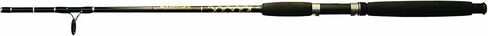 Kunnan Surf Spin Fishing Rod (2-Piece) in Saudi Arabia