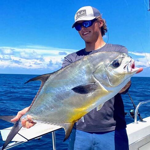 صنارات صيد الأسماك ماريهان جاك جولد in Kuwait