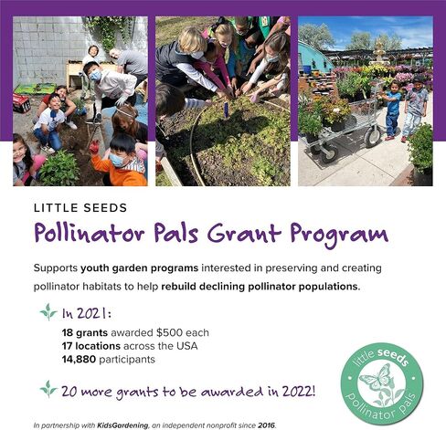 ليتل سييدز زينة علوية لتغيير الملابس من افيري، ابيض in Kuwait