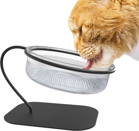DODAMOUR Elevated Cat Food Bowls, Small Dog Tilted Raised Food Feeding Dishes with Stand, Pet Bowl for Dogs Cats Puppy in Kuwait