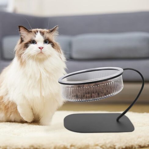 DODAMOUR Elevated Cat Food Bowls, Small Dog Tilted Raised Food Feeding Dishes with Stand, Pet Bowl for Dogs Cats Puppy in Kuwait