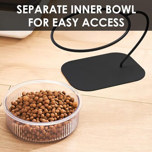 DODAMOUR Elevated Cat Food Bowls, Small Dog Tilted Raised Food Feeding Dishes with Stand, Pet Bowl for Dogs Cats Puppy in Kuwait
