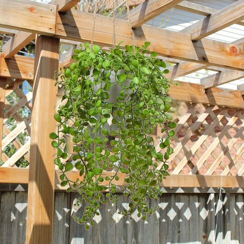 plants Artificial Hanging Fake Greenery Succulent Potted Ceramic Planter for Home Wall Indoor Outdoor Decor in Kuwait