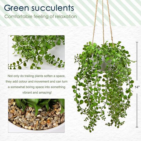plants Artificial Hanging Fake Greenery Succulent Potted Ceramic Planter for Home Wall Indoor Outdoor Decor in Kuwait