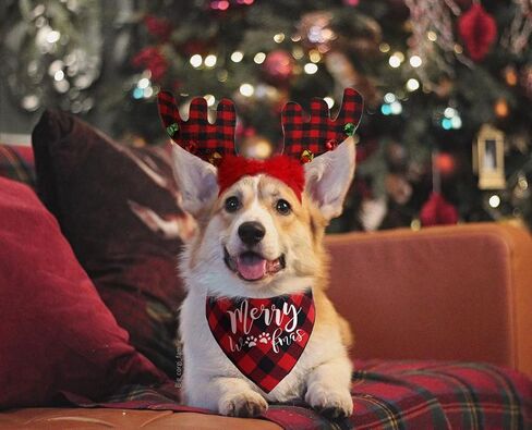 Buffalo Plaid Dog Christmas Bandana and Reindeer Antlers Headband for Dog, Dog Christmas Outfit in Saudi Arabia