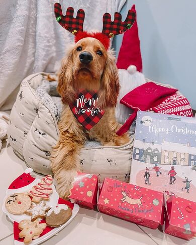 Buffalo Plaid Dog Christmas Bandana and Reindeer Antlers Headband for Dog, Dog Christmas Outfit in Saudi Arabia